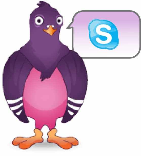 Skype plugin for pidgin is