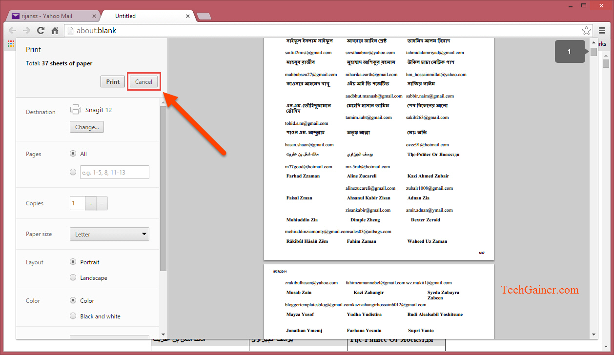 Cancel print window