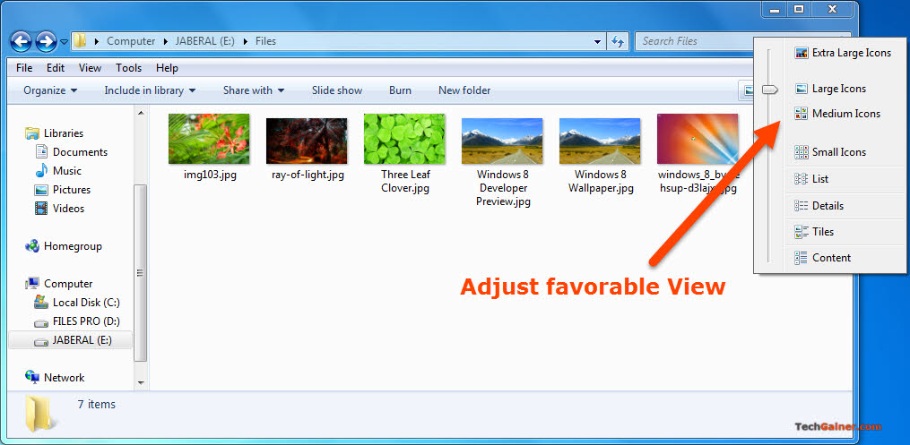 Adjust icon view style