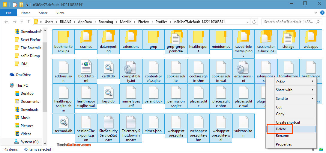 Delete all files and folders in Firefox profile data folder