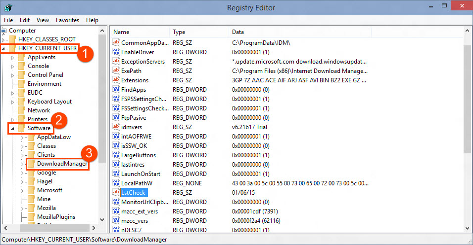 Download Manager entry in Registry Editor