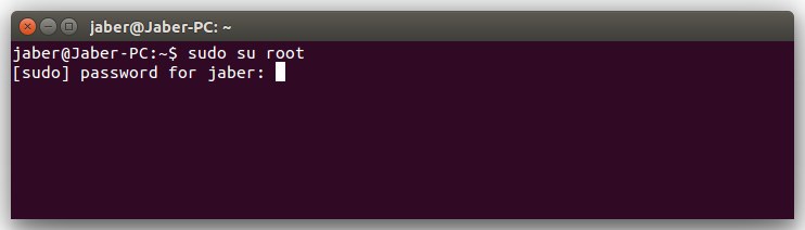 Enter sudo su root in Terminal